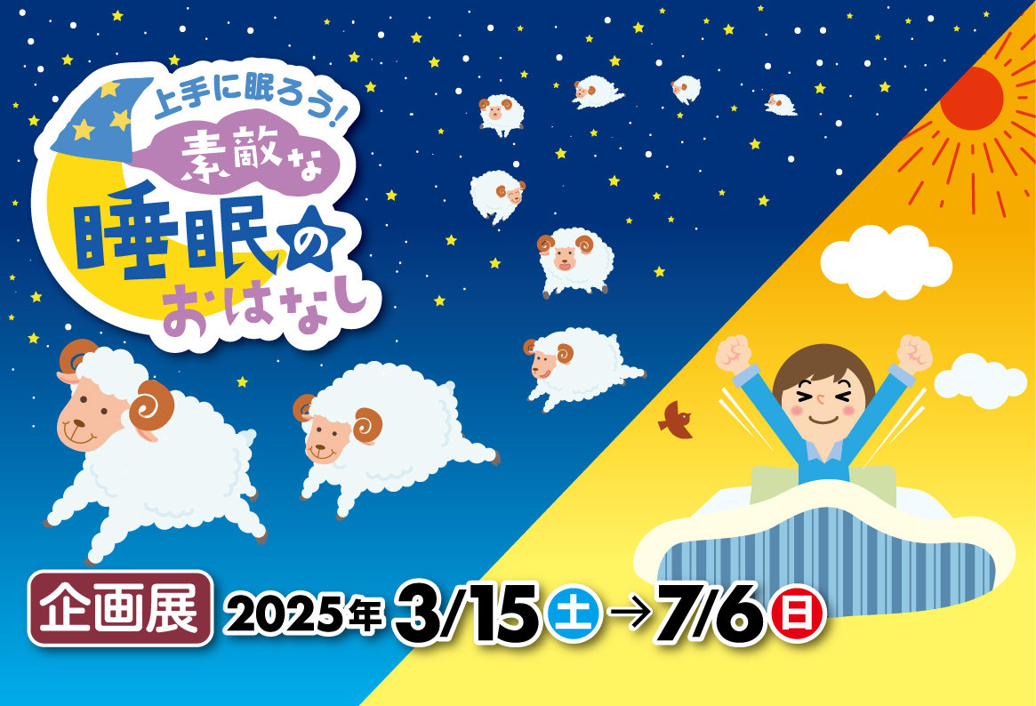 素敵な睡眠.jpg